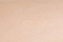 画像をギャラリービューアに読み込む, 眉毛専用ハイライトシフォン